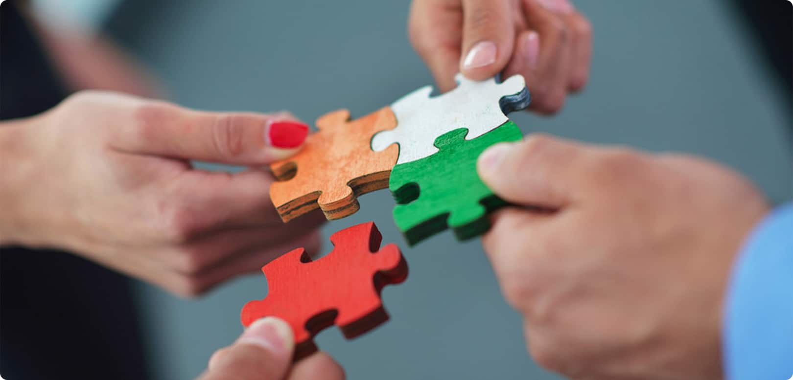 exeliq-collaboration